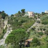 Corniglia