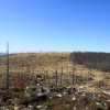 Blick auf die Österreichisch-Tschechische Grenze vom Plöckenstein aus