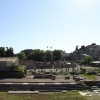 Roma 100