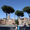 Roma 103