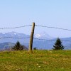 Herndleck