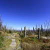 Plöckenstein